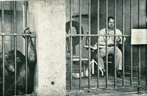 Fósforo #59 &quot;Labirintodonte&quot; Alberto Pimenta Sábado, 17 de Junho de 2017 Filó (Praça da Alegria, nº91, Porto)